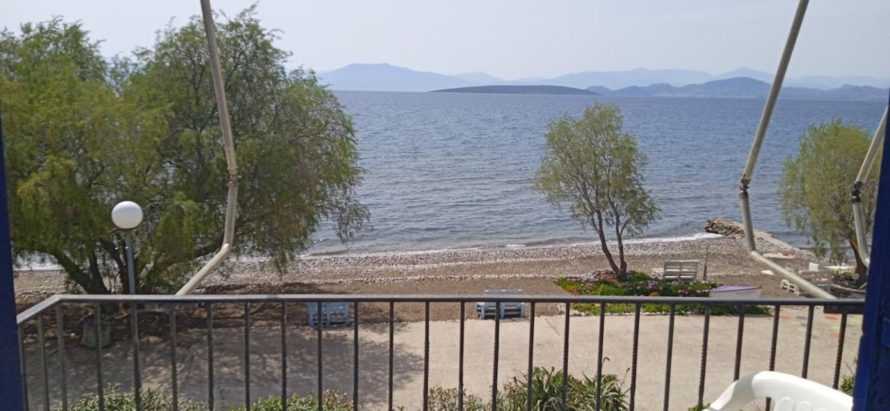 Vikos Beach Apartments Paralia Irion Exterior foto