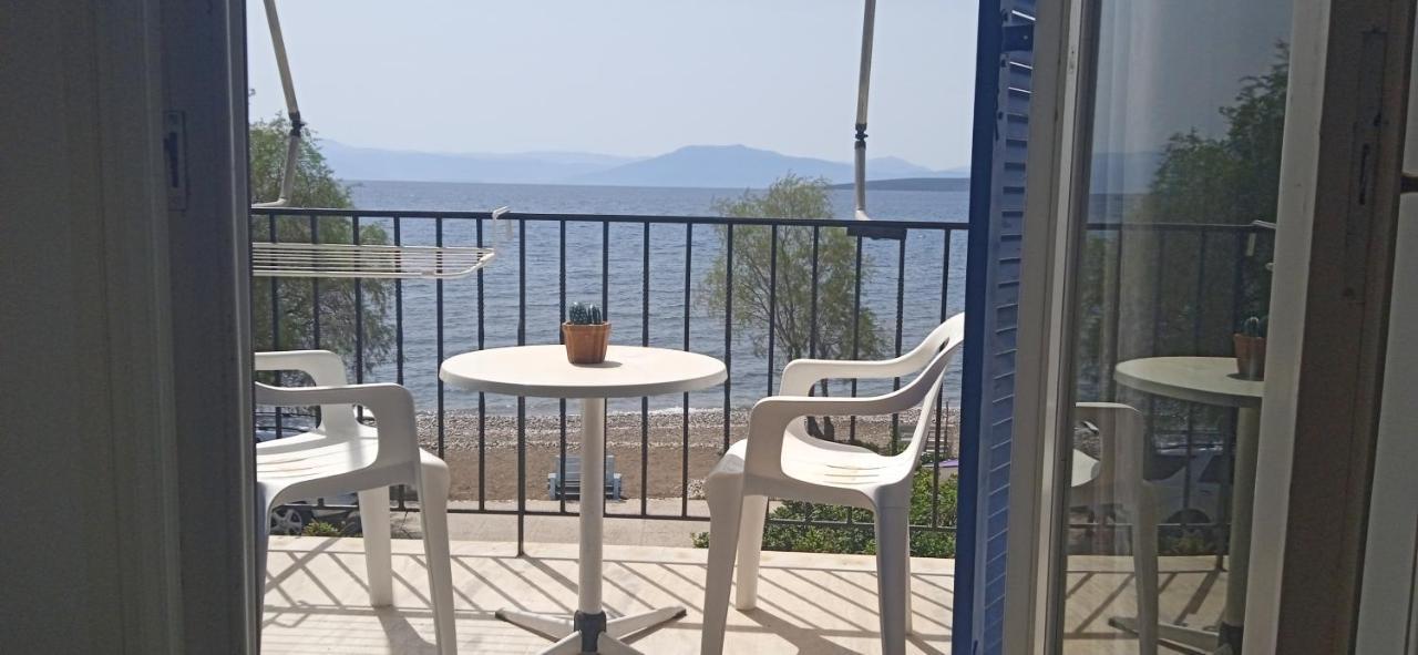Vikos Beach Apartments Paralia Irion Exterior foto